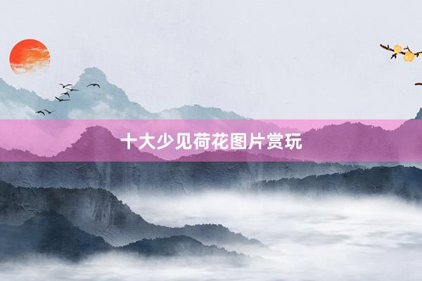 十大少见荷花图片赏玩