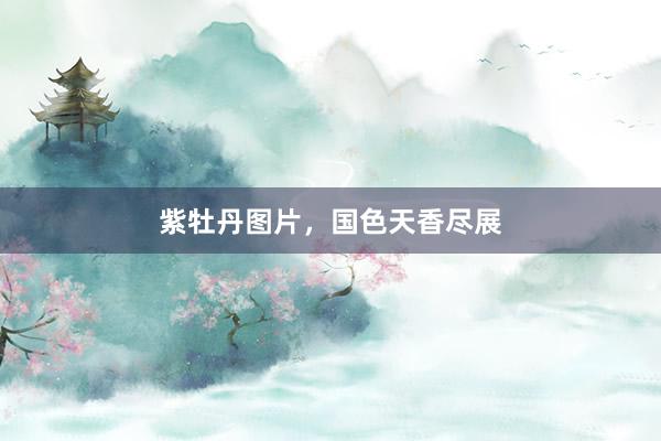 紫牡丹图片，国色天香尽展