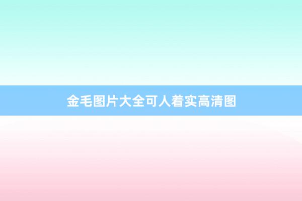 金毛图片大全可人着实高清图