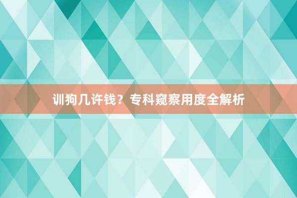 训狗几许钱？专科窥察用度全解析